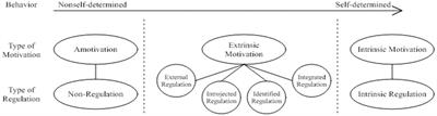 Empowering motivation: the journey of wheelchair basketball athletes to overcome constraints